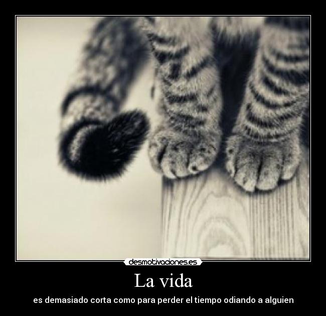 La vida - es demasiado corta como para perder el tiempo odiando a alguien
