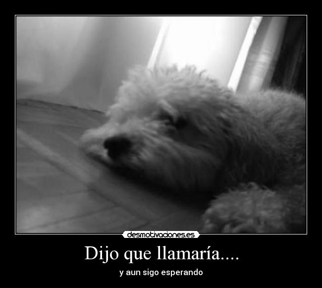 Dijo que llamaría.... -