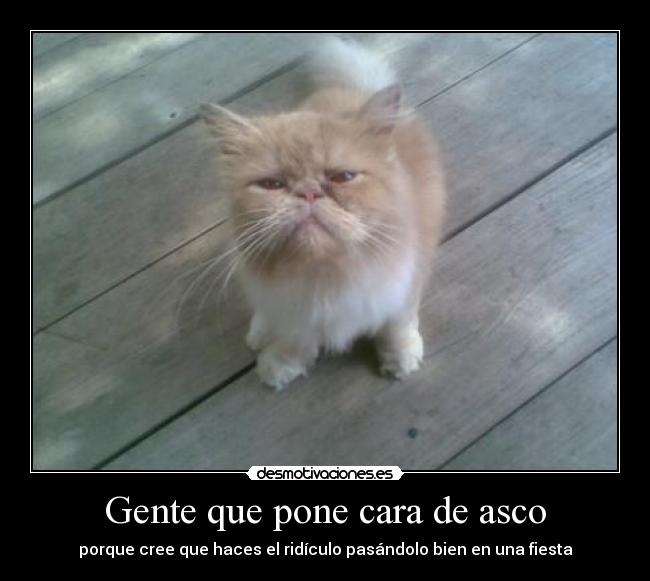 Gente que pone cara de asco - porque cree que haces el ridículo pasándolo bien en una fiesta