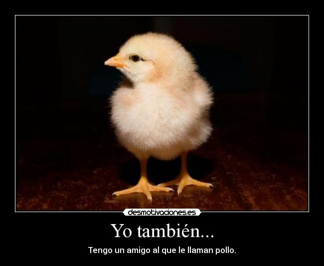 Yo también... - Tengo un amigo al que le llaman pollo.