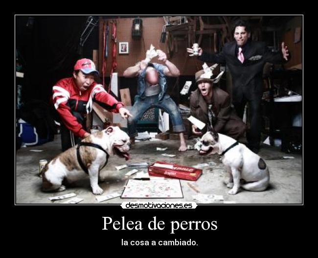 Pelea de perros - la cosa a cambiado.