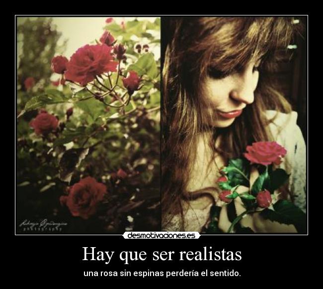Hay que ser realistas - 