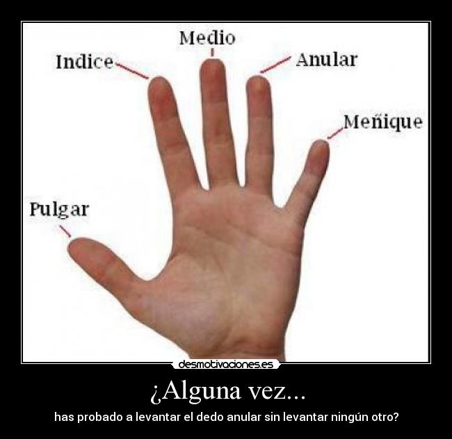 ¿Alguna vez... - has probado a levantar el dedo anular sin levantar ningún otro?