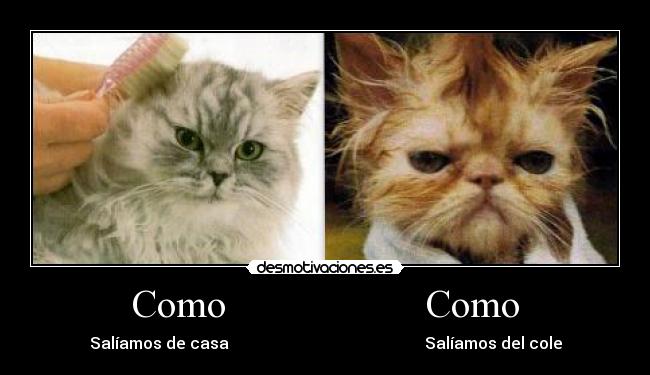 Como                    Como - Salíamos de casa                                                 Salíamos del cole