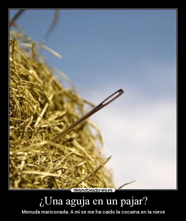 ¿Una aguja en un pajar? - Menuda mariconada. A mi se me ha caído la cocaína en la nieve