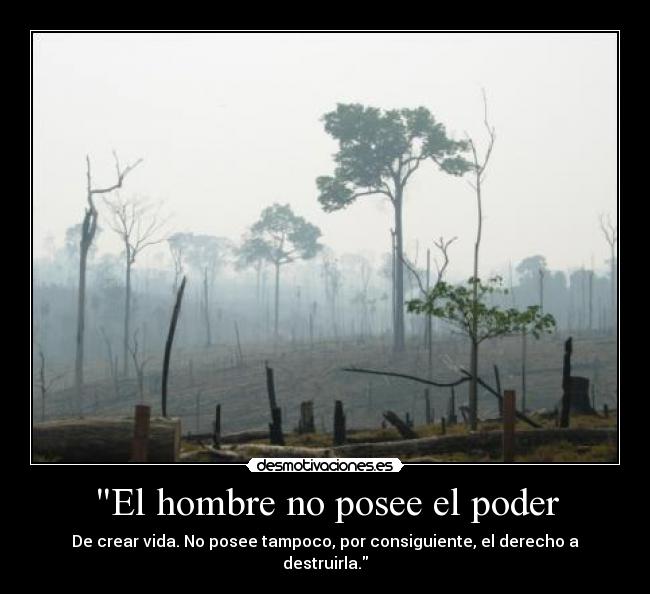 El hombre no posee el poder - De crear vida. No posee tampoco, por consiguiente, el derecho a destruirla.
