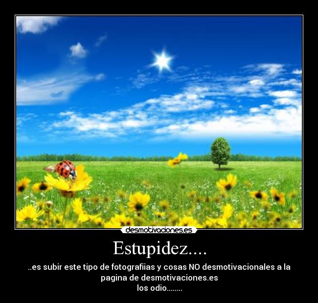Estupidez.... - 