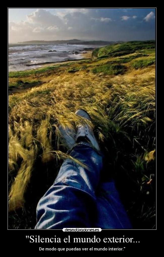 Silencia el mundo exterior... - De modo que puedas ver el mundo interior.