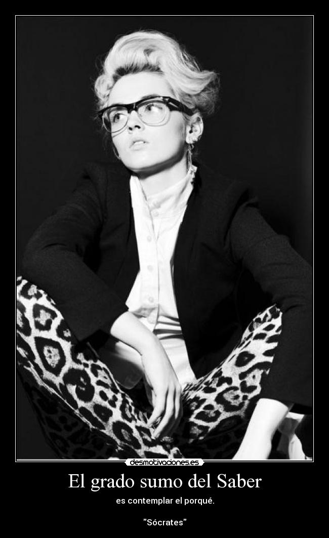 El grado sumo del Saber - es contemplar el porqué.

Sócrates
