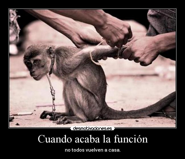 Cuando acaba la función -