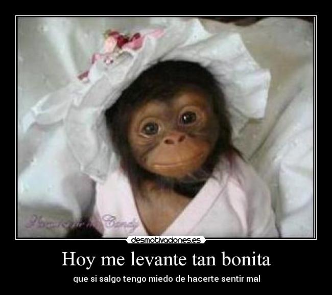 carteles juajua desmotivaciones