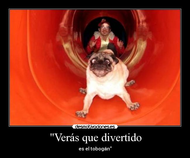 Verás que divertido - es el tobogán