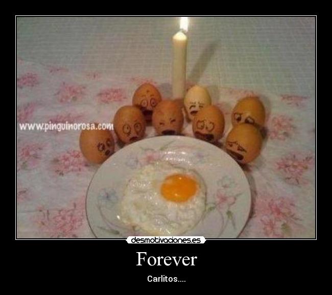 Forever - Carlitos....