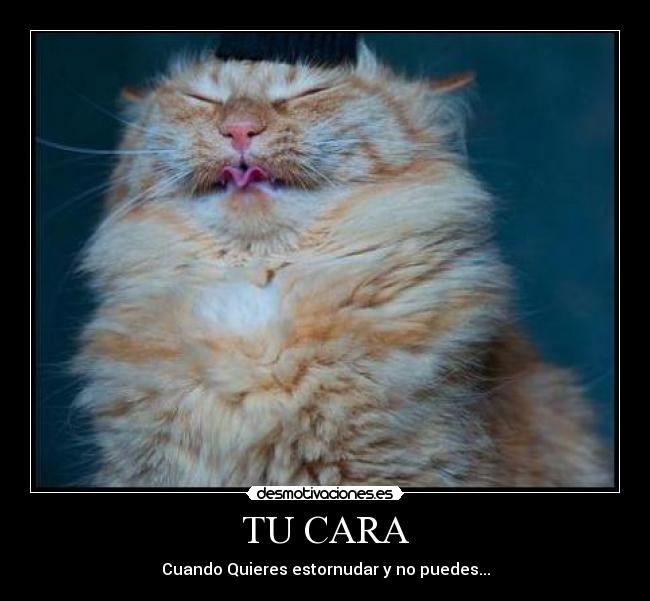 carteles krassi desmotivaciones