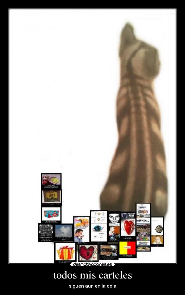todos mis carteles - 
