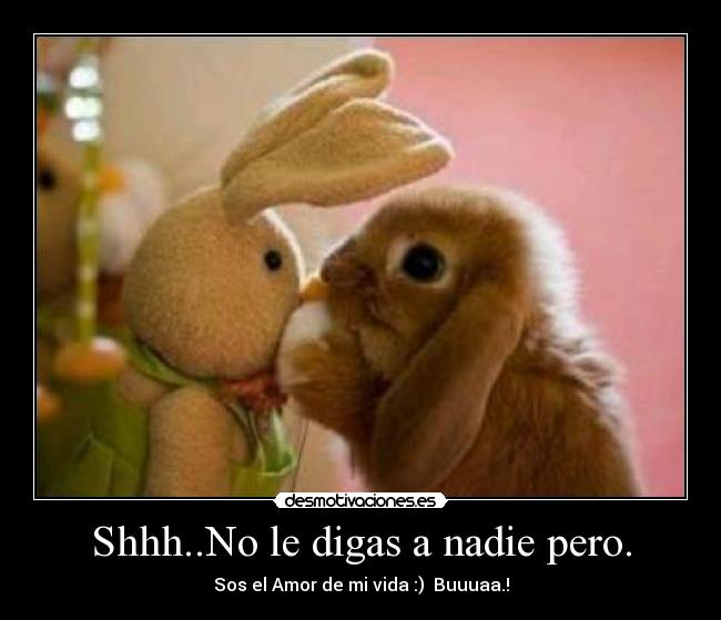 carteles dgas nadie desmotivaciones