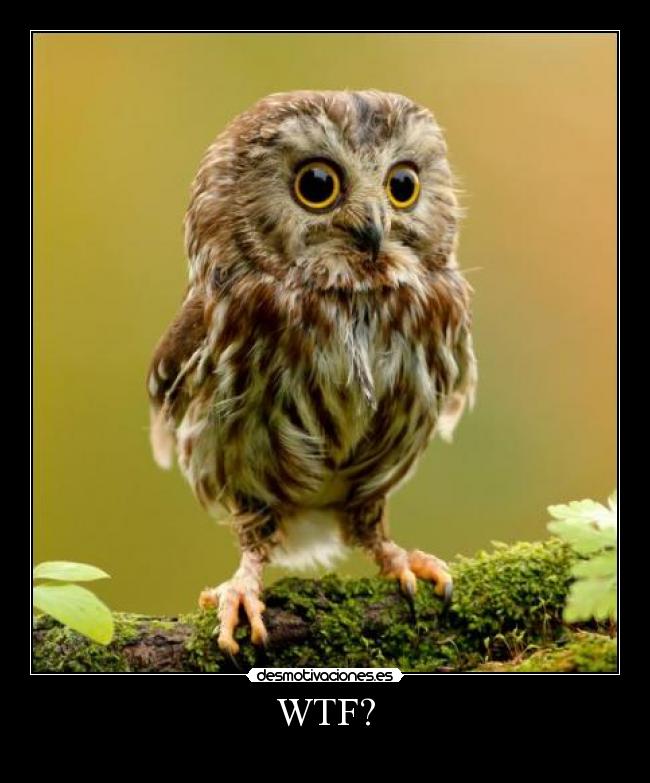 WTF? - 