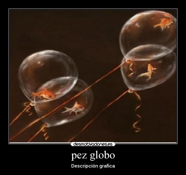 pez globo - 