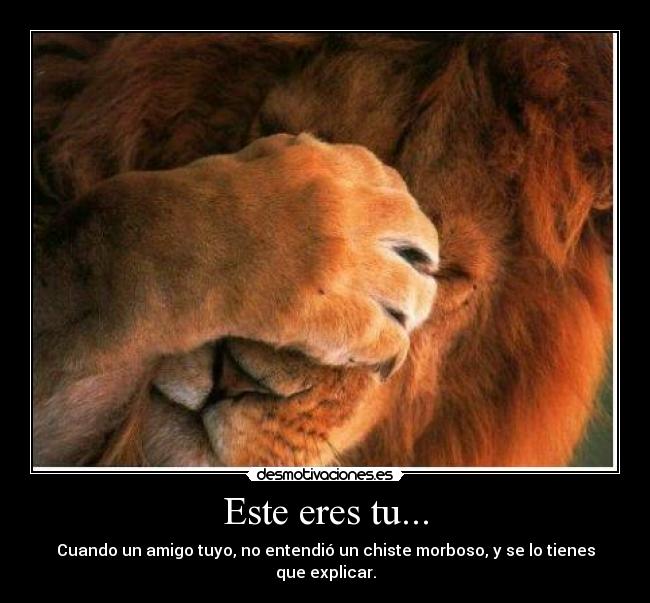 carteles explicar que tienes morboso chiste entendio tuyo amigo cuando desmotivaciones