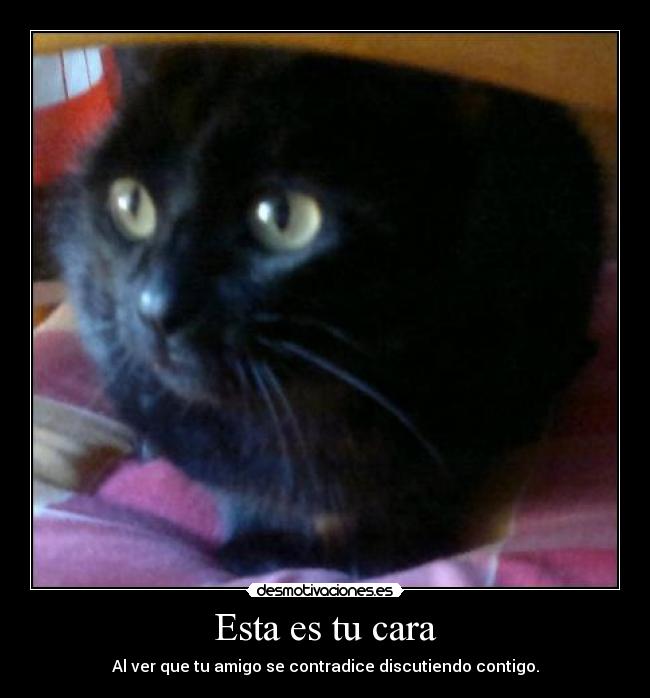 Esta es tu cara - Al ver que tu amigo se contradice discutiendo contigo.