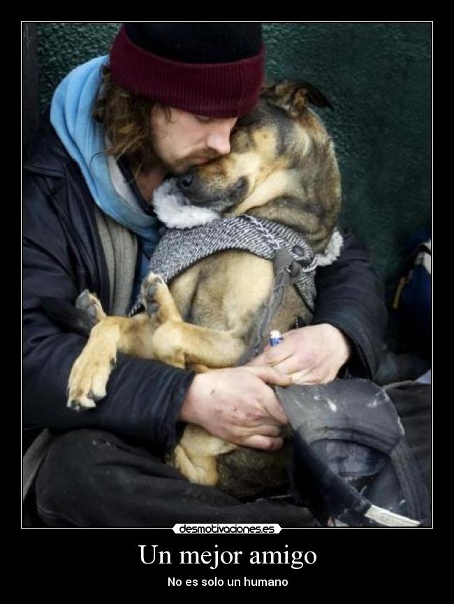 carteles mejor desmotivaciones