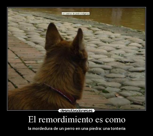 El remordimiento es como - 