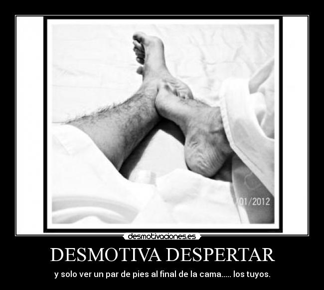 DESMOTIVA DESPERTAR - y solo ver un par de pies al final de la cama..... los tuyos.