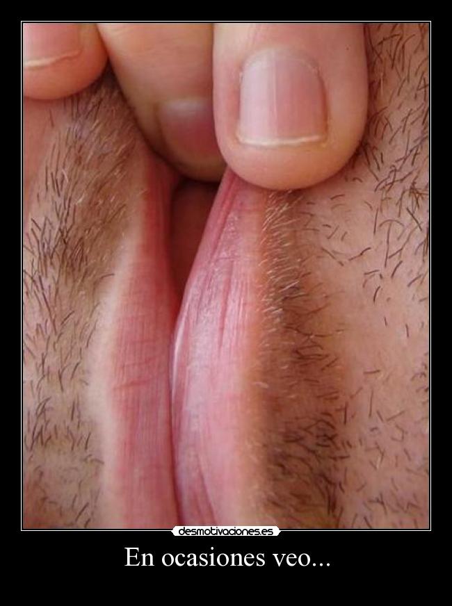 En ocasiones veo... - 