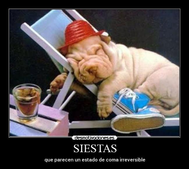SIESTAS - que parecen un estado de coma irreversible