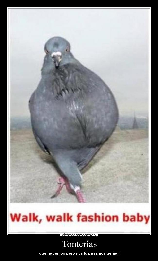 Tonterías - que hacemos pero nos lo pasamos genial!