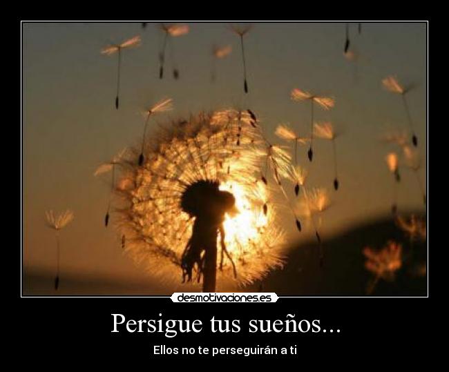 Persigue tus sueños... -