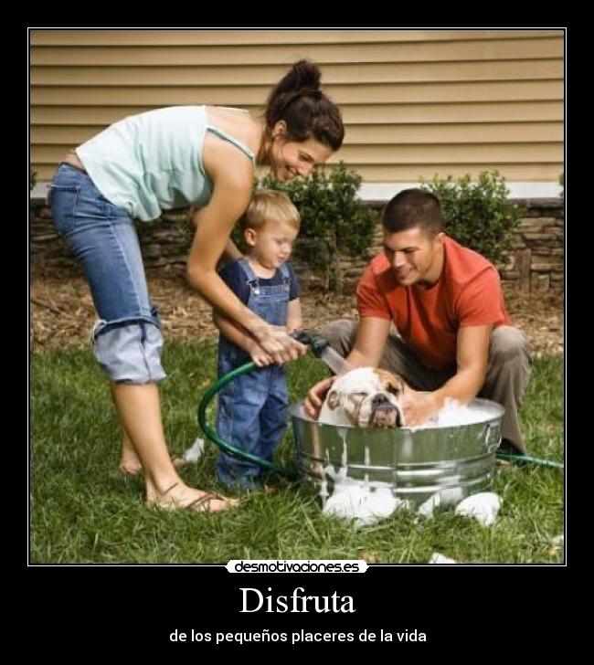 carteles disfruta los pequenos placeres vida desmotivaciones