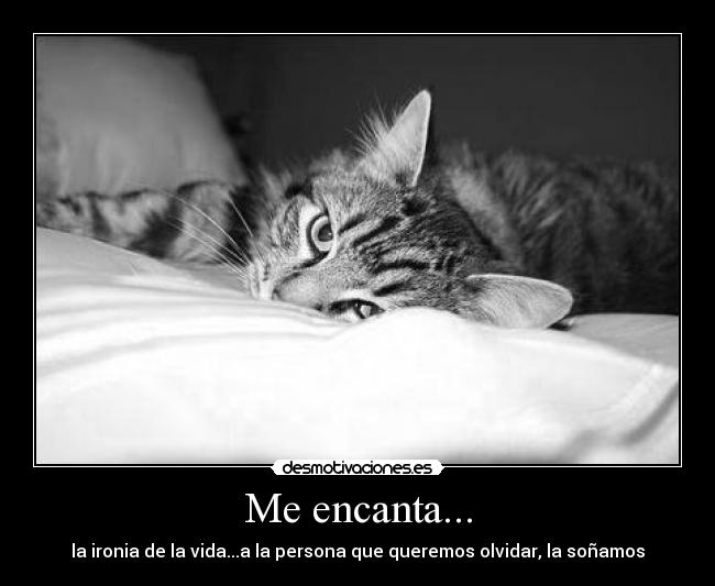 Me encanta... - la ironia de la vida...a la persona que queremos olvidar, la soñamos