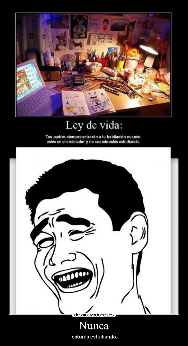 Nunca - estarás estudiando.