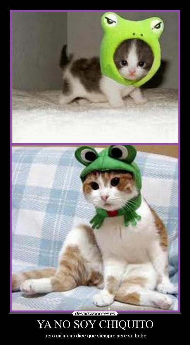 YA NO SOY CHIQUITO -