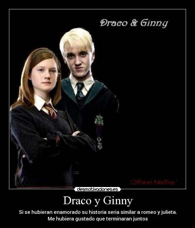 Draco y Ginny - Si se hubieran enamorado su historia seria similar a romeo y julieta.
Me hubiera gustado que terminaran juntos
