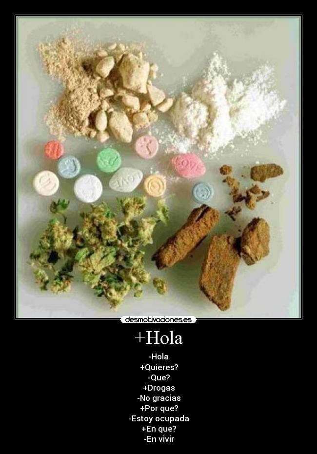 +Hola - -Hola
+Quieres?
-Que?
+Drogas
-No gracias
+Por que?
-Estoy ocupada
+En que?
-En vivir