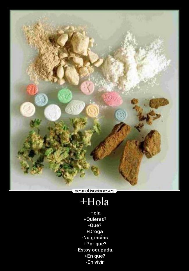 +Hola - -Hola
+Quieres?
-Que?
+Droga
-No gracias
+Por que?
-Estoy ocupada.
+En que?
-En vivir