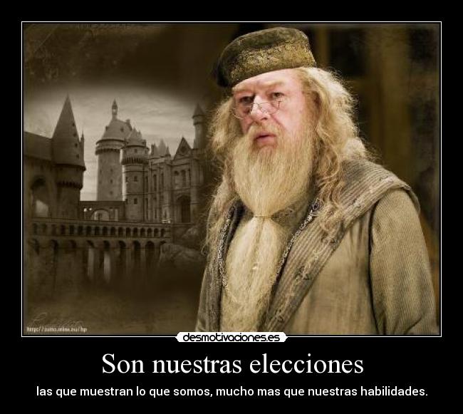 Son nuestras elecciones -
