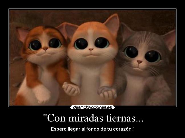 Con miradas tiernas... -