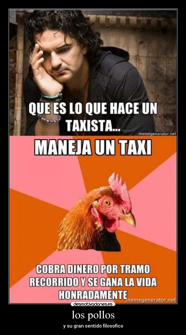 los pollos - y su gran sentido filosofico