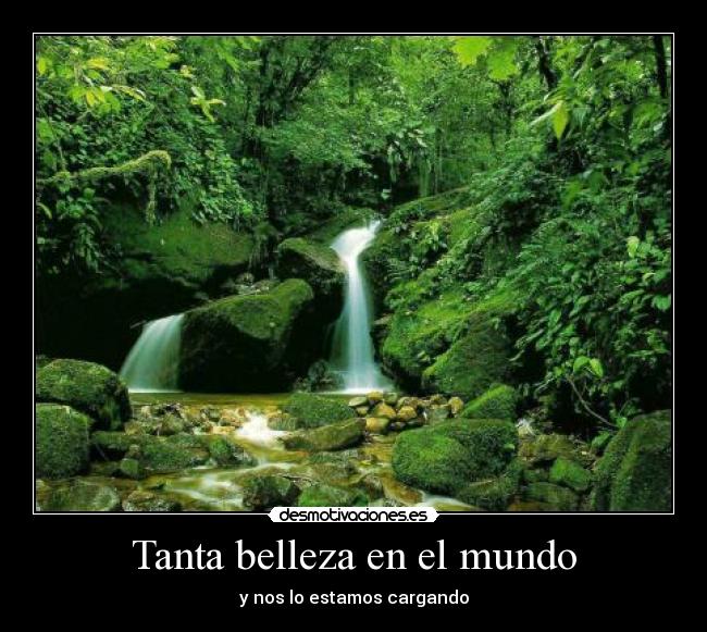 Tanta belleza en el mundo -