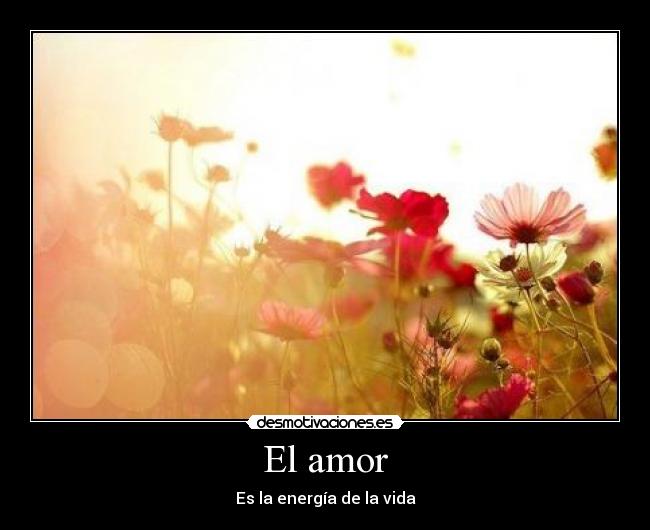 El amor - 