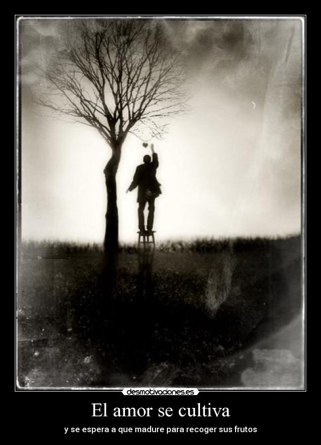 El amor se cultiva -