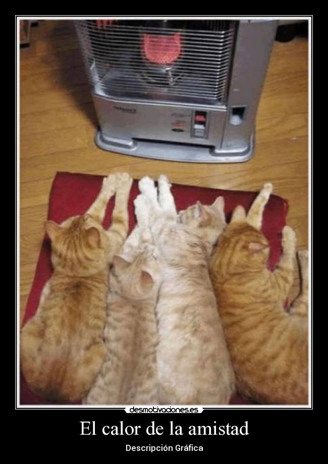 carteles amistad descripcion grafica desmotivaciones