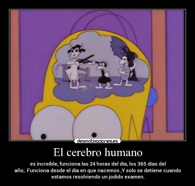El cerebro humano - es increíble, funciona las 24 horas del día, los 365 días del
año;. Funciona desde el día en que nacemos ,Y solo se detiene cuando
estamos resolviendo un jodido examen.