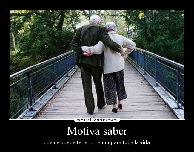 Motiva saber - 
