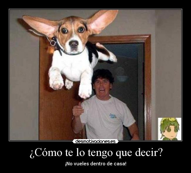 carteles perro voladooooooooooooooooooooor desmotivaciones