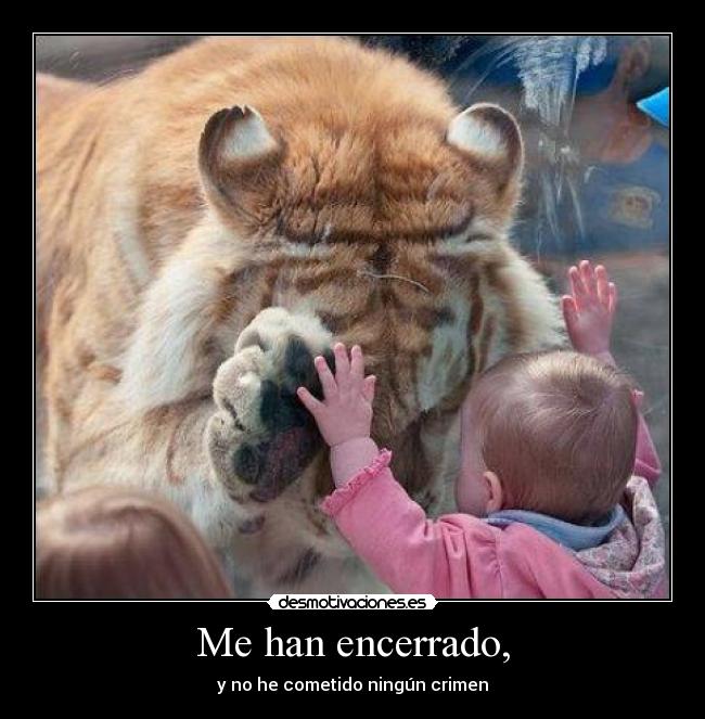 Me han encerrado, - y no he cometido ningún crimen