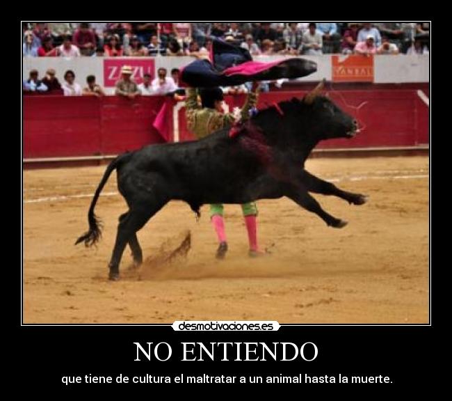 NO ENTIENDO -